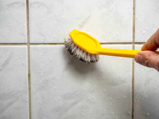 Best Attic Mold Removal  in Coalinga, CA