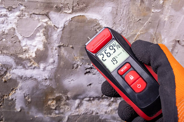 Best Residential Mold Removal  in Coalinga, CA