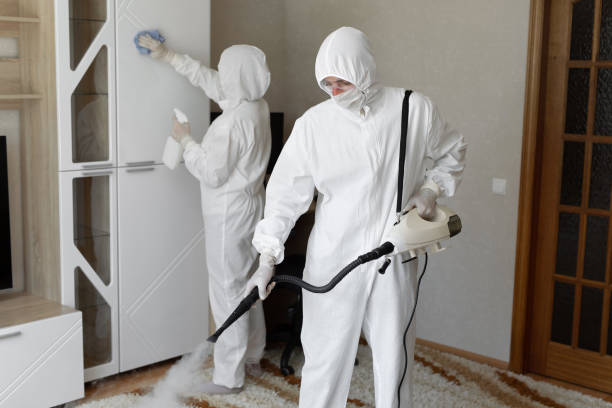 Crawl Space Mold Removal in Coalinga, CA