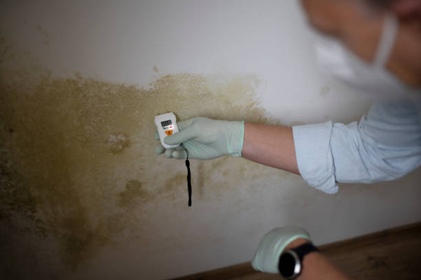 Best Mold Removal Specialists  in Coalinga, CA