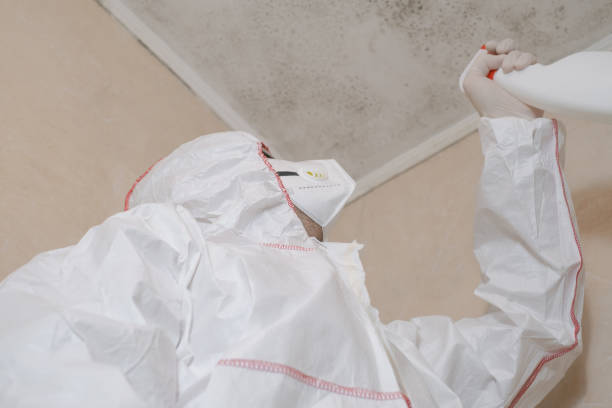Coalinga, CA Mold Removal Company