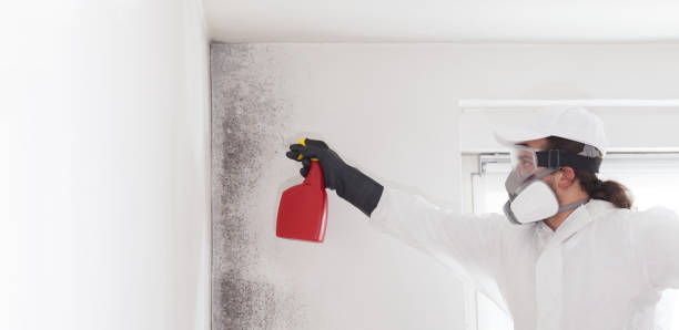 Best Mold Remediation  in Coalinga, CA