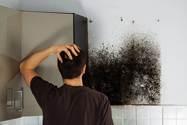 Best Black Mold Removal  in Coalinga, CA